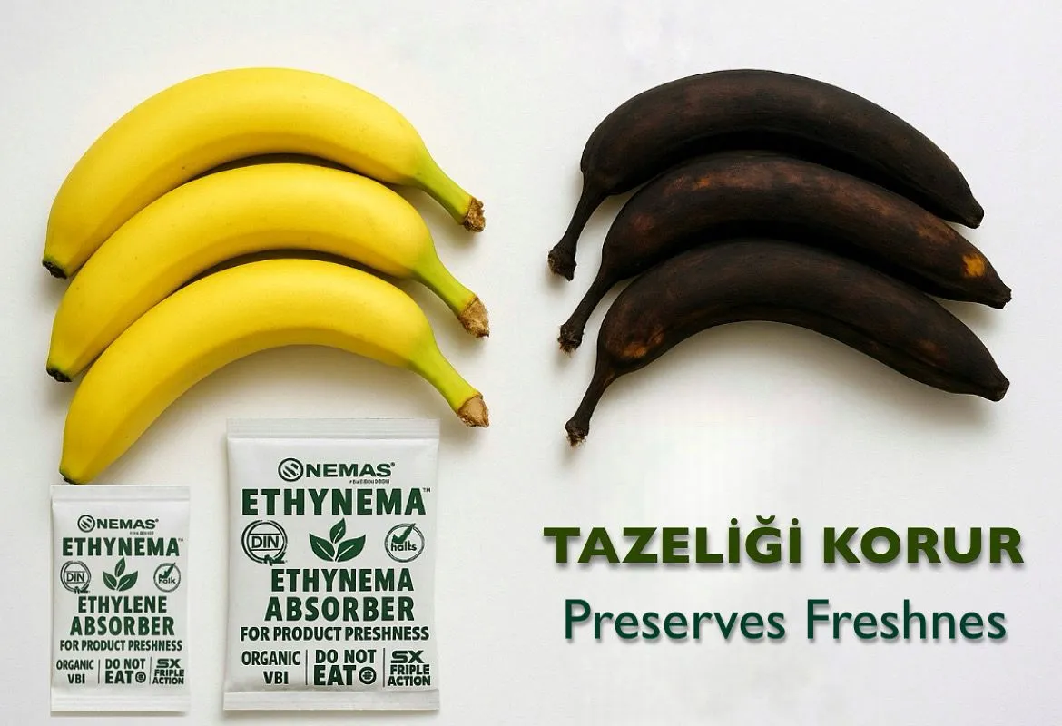 ETHYNEMA / Etilen Emici